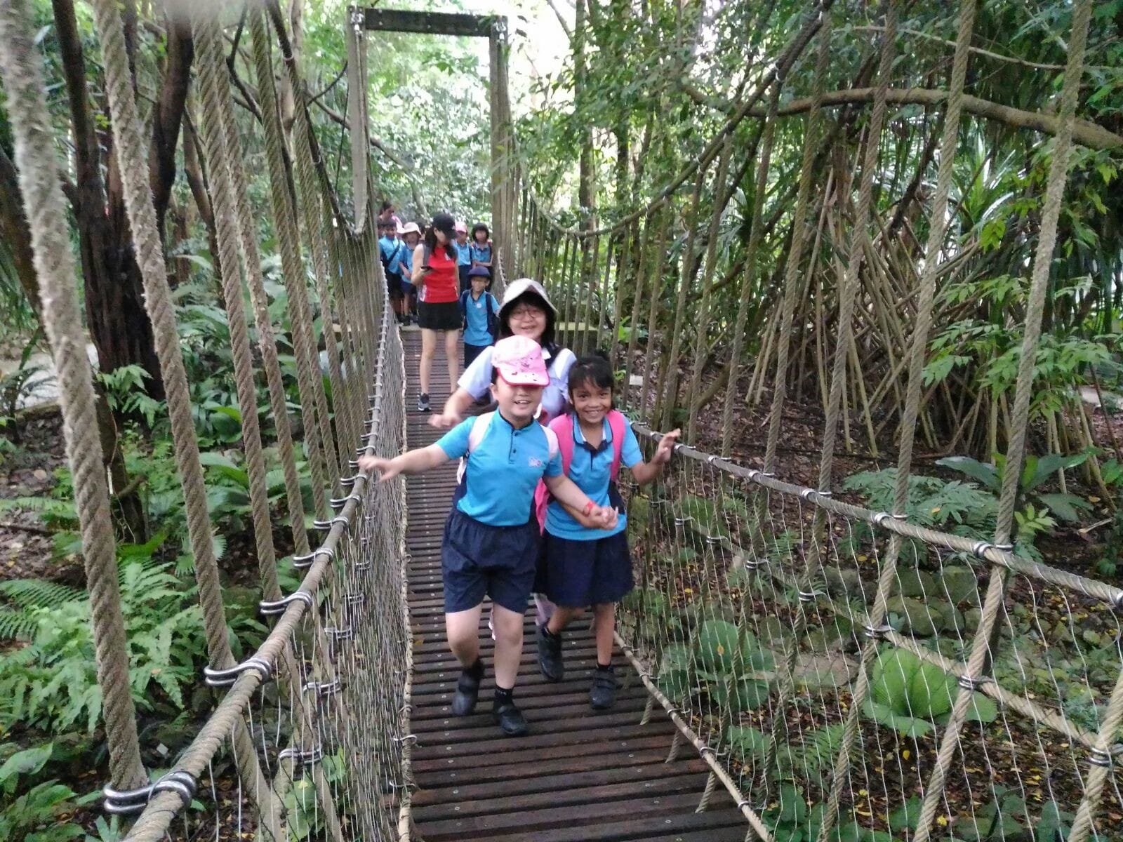 Children in blue uniforms cross a rope suspension bridge through a lush green forest on a school trip.