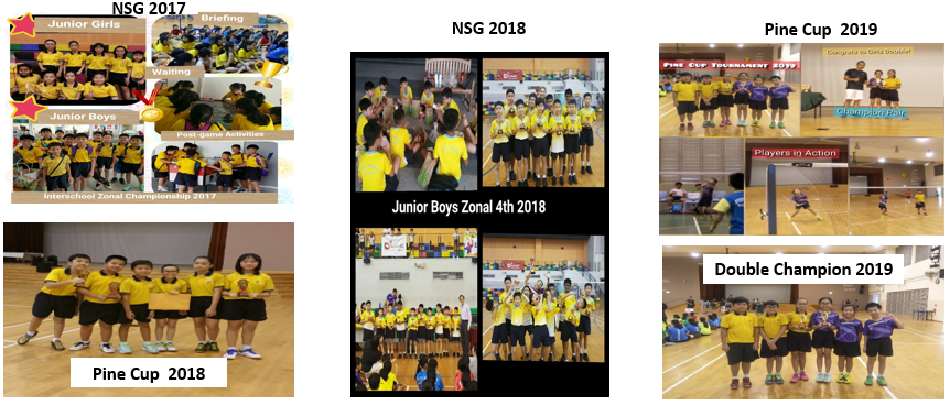 Collage of youth badminton tournament photos from NSG 2017, NSG 2018, Pine Cup 2018, and Pine Cup 2019.