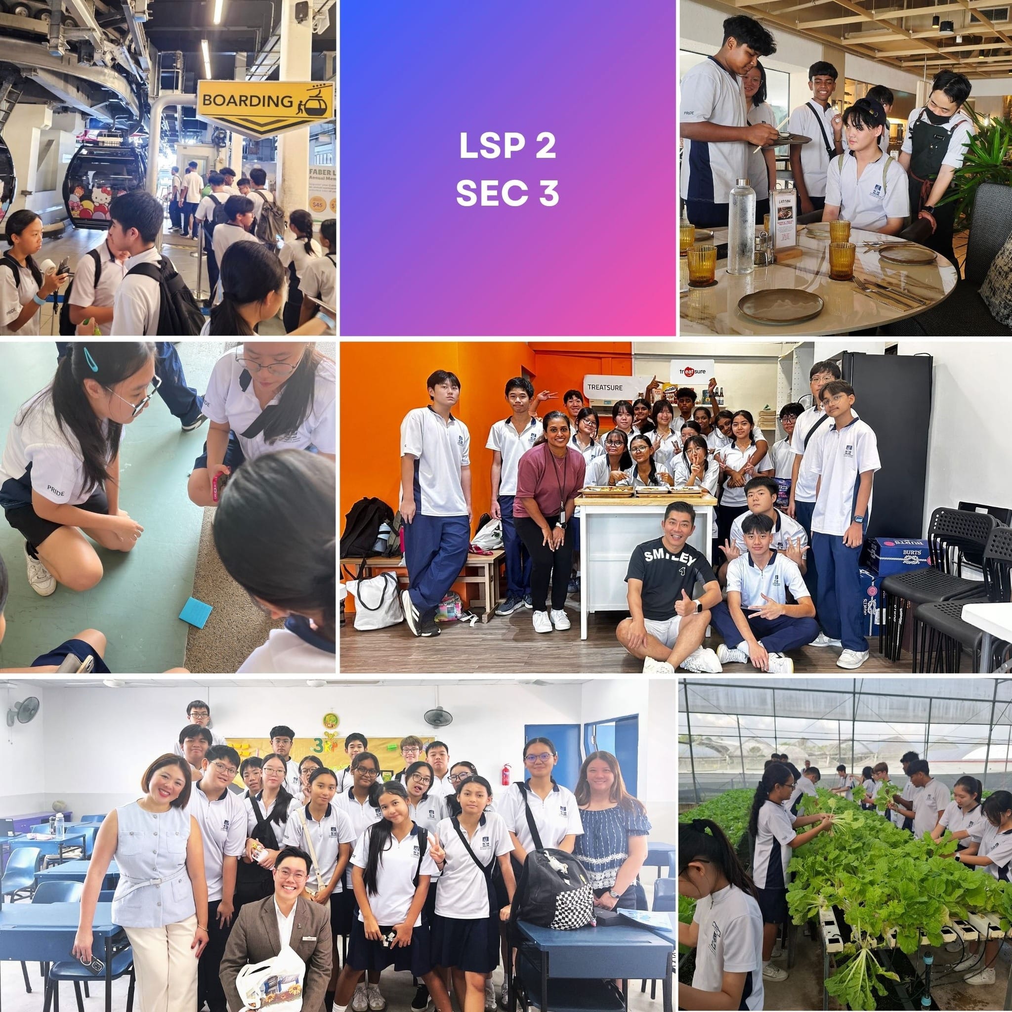 Collage of secondary 3 students on an LSP 2 learning journey, visiting various sites including a farm and a store.