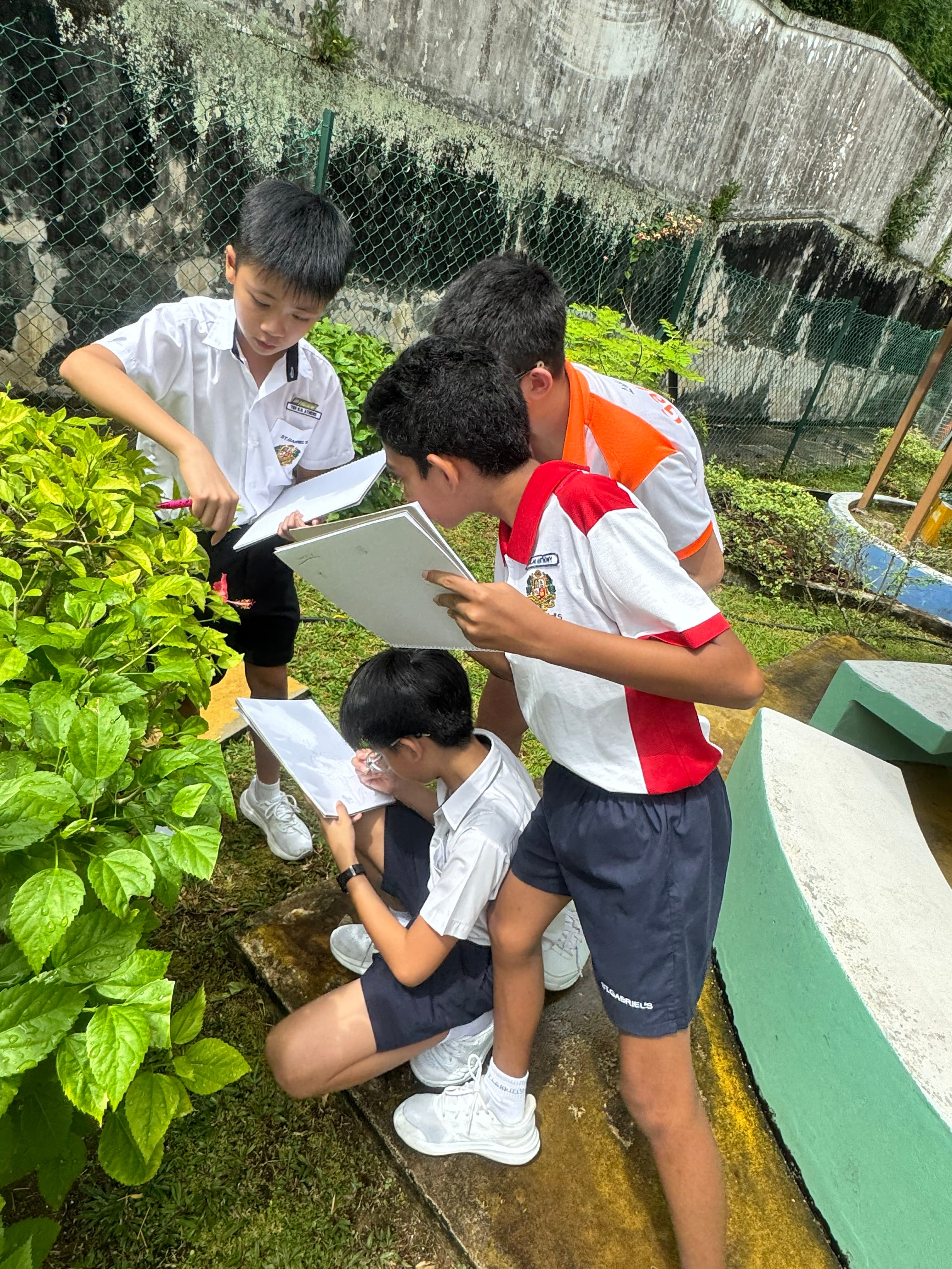 Four students in uniforms sketch plants outdoors, holding clipboards near leafy bushes and a fence.