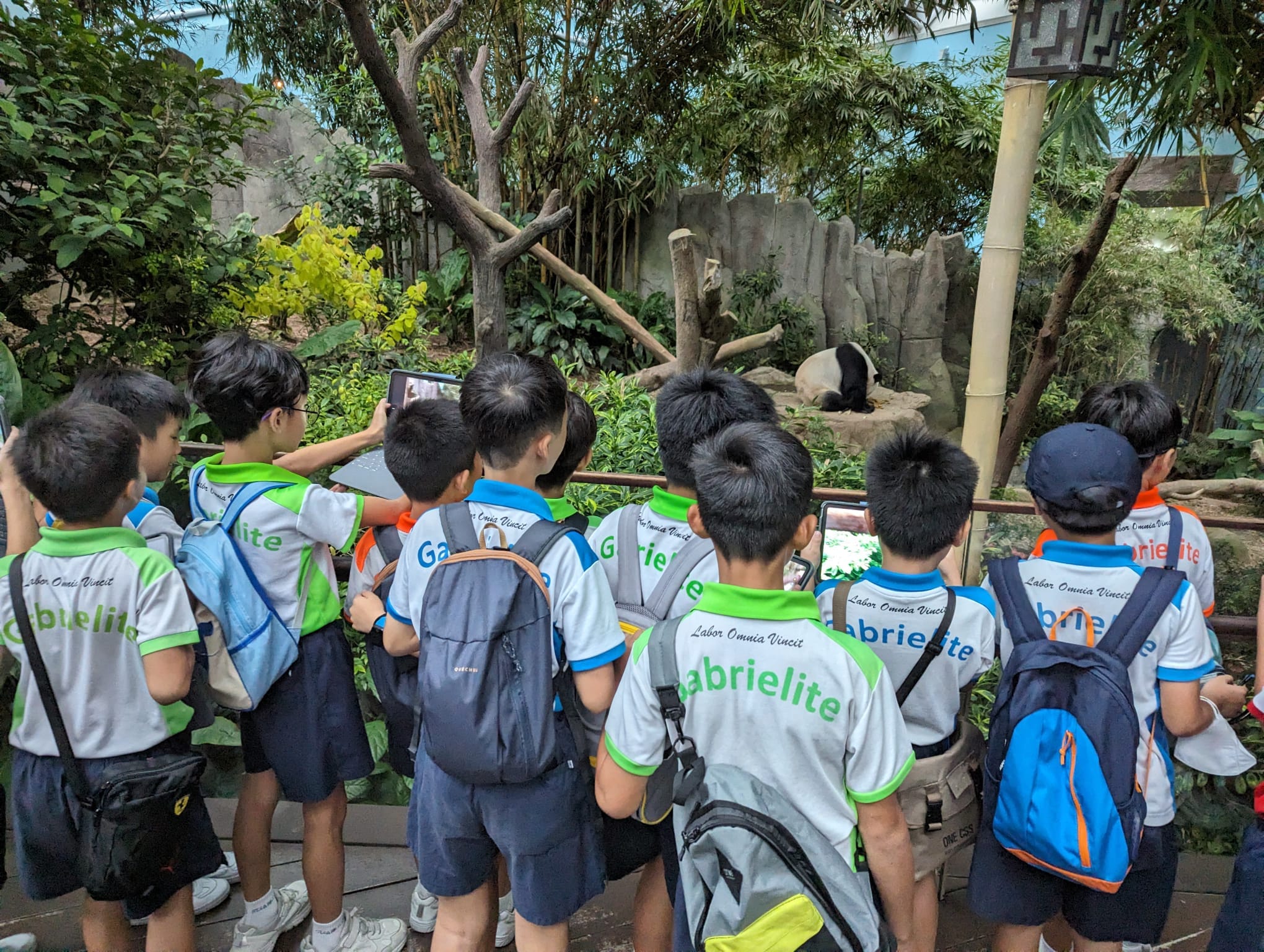A group of students observing a panda