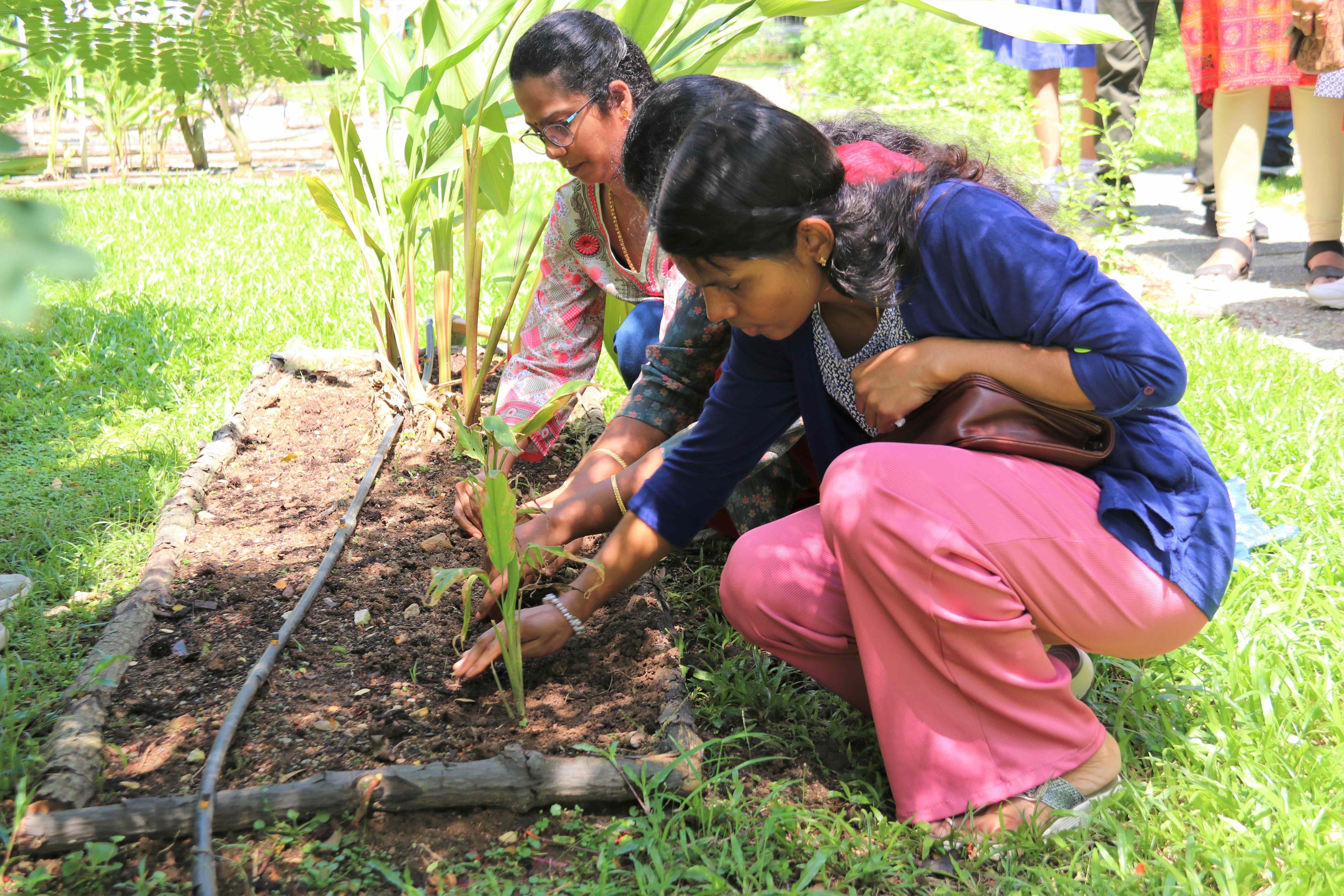 Two women kneel in a garden bed, planting small green shoots in soil beside taller plants.