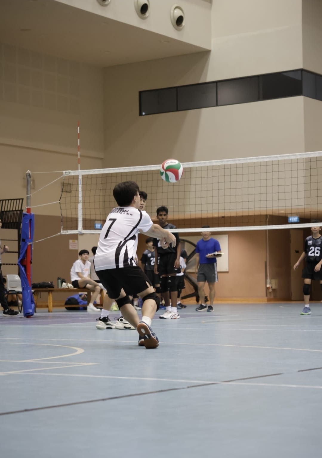Player number 7 in white digs a volleyball near the net during an indoor match with several players watching.