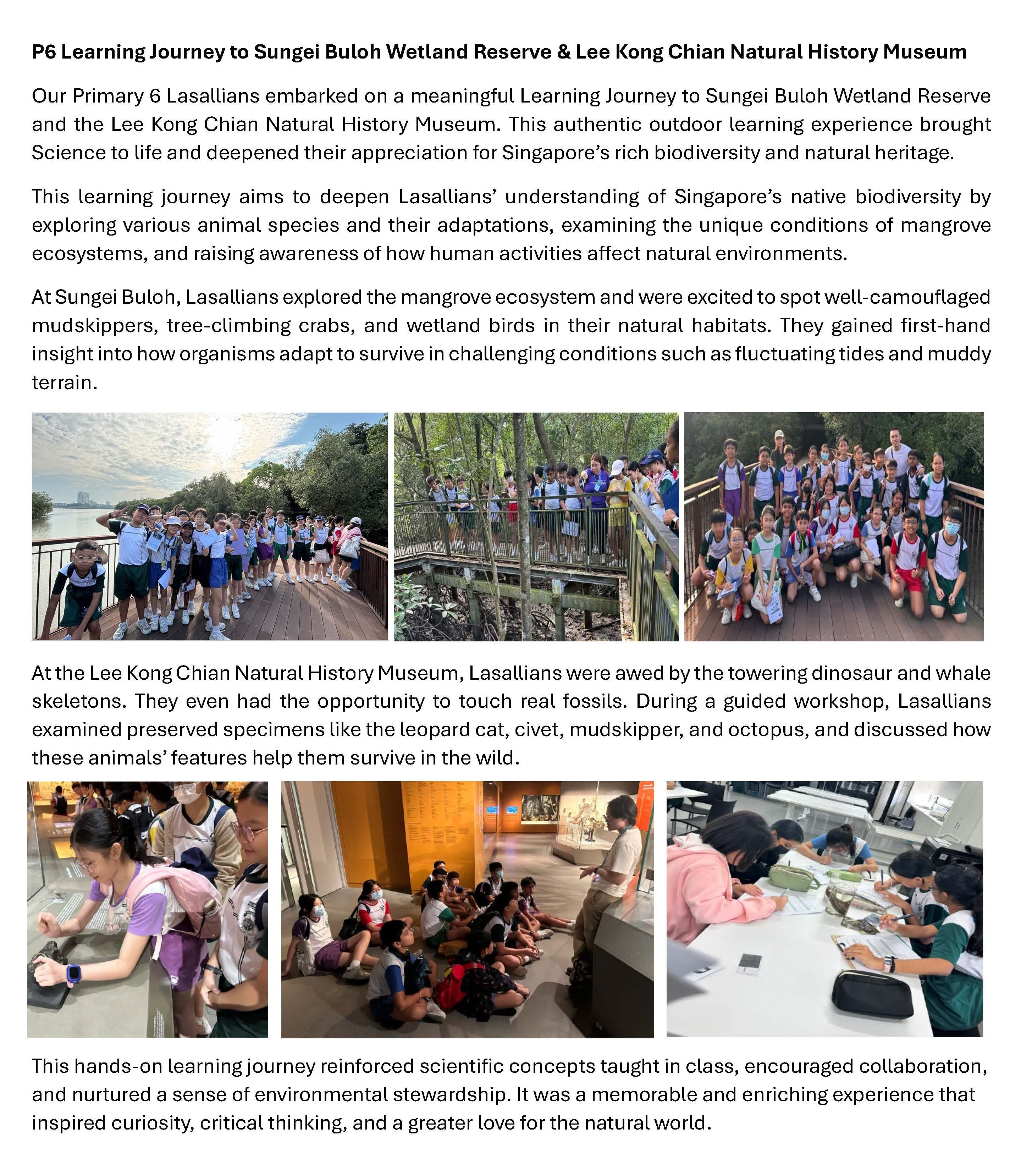 A school article with six photos of students on a field trip to a wetland reserve and natural history museum.