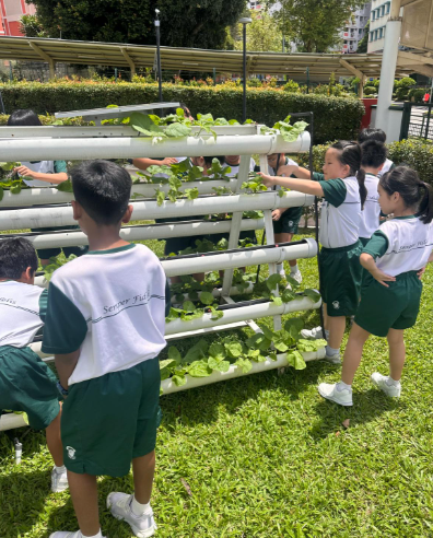 Students tending to plants in the school's outdoor hydroponic garden, gaining hands-on experience in sustainable growing practices.