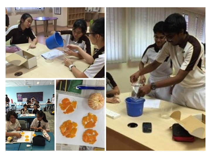 Students in school uniforms conduct hands-on experiments with buckets, boxes, and peeled orange slices on tables.