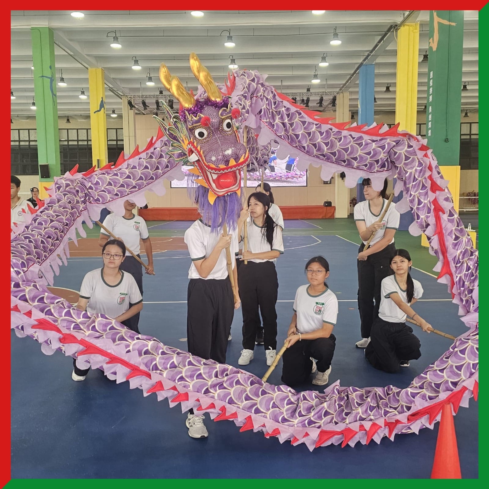 Students in white shirts perform a traditional dragon dance with a large purple and red dragon costume indoors.