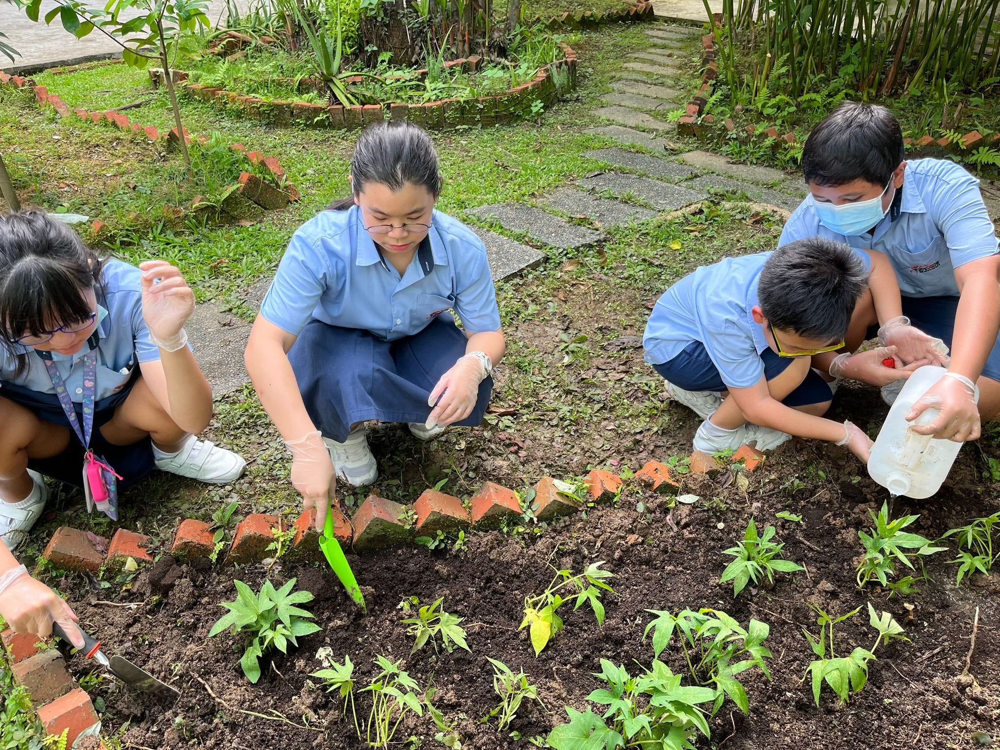 Four students in blue uniforms tend a garden bed, digging soil and watering small plants with gloves on.