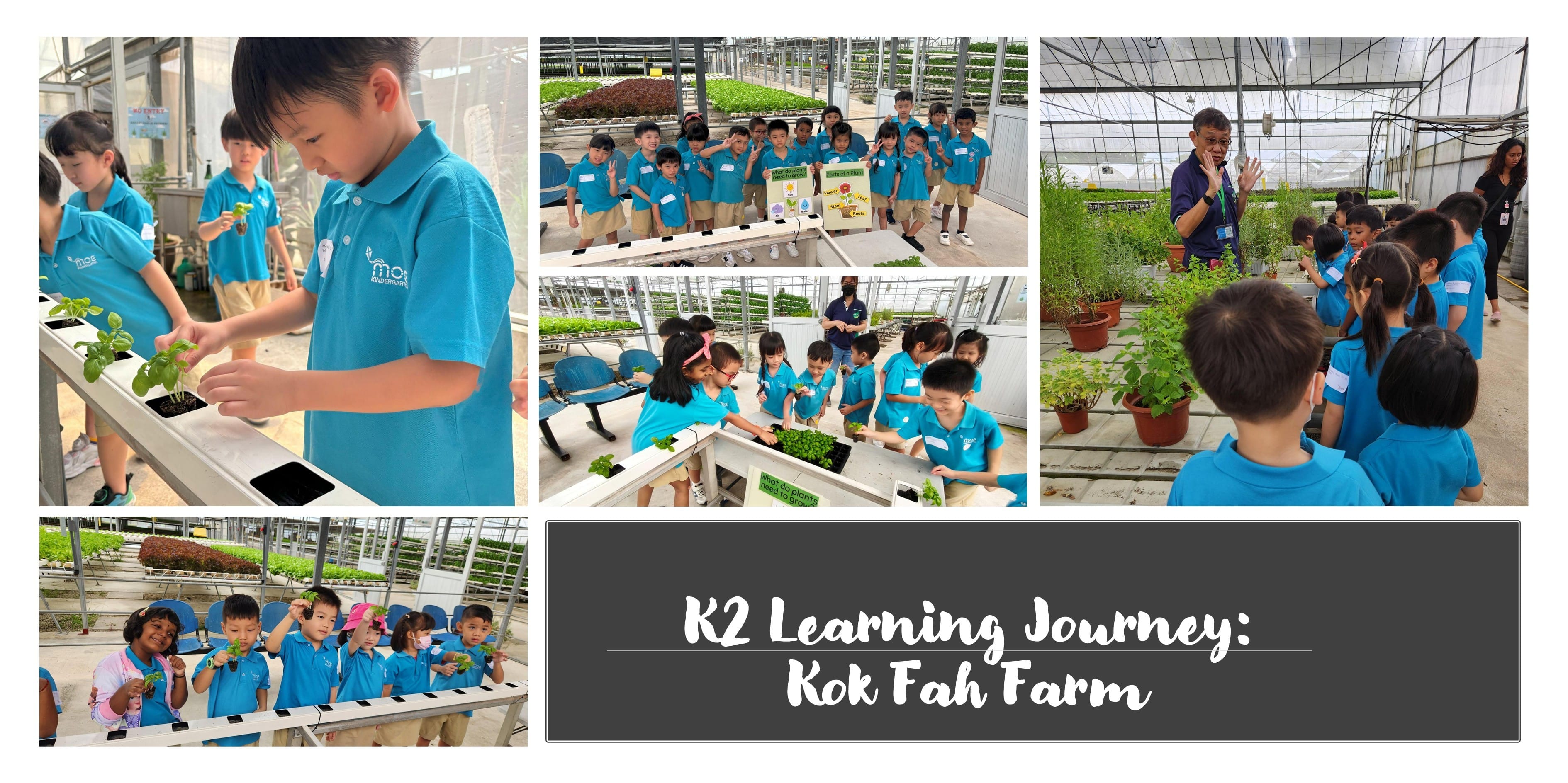 K2 Learning Journey 2025
