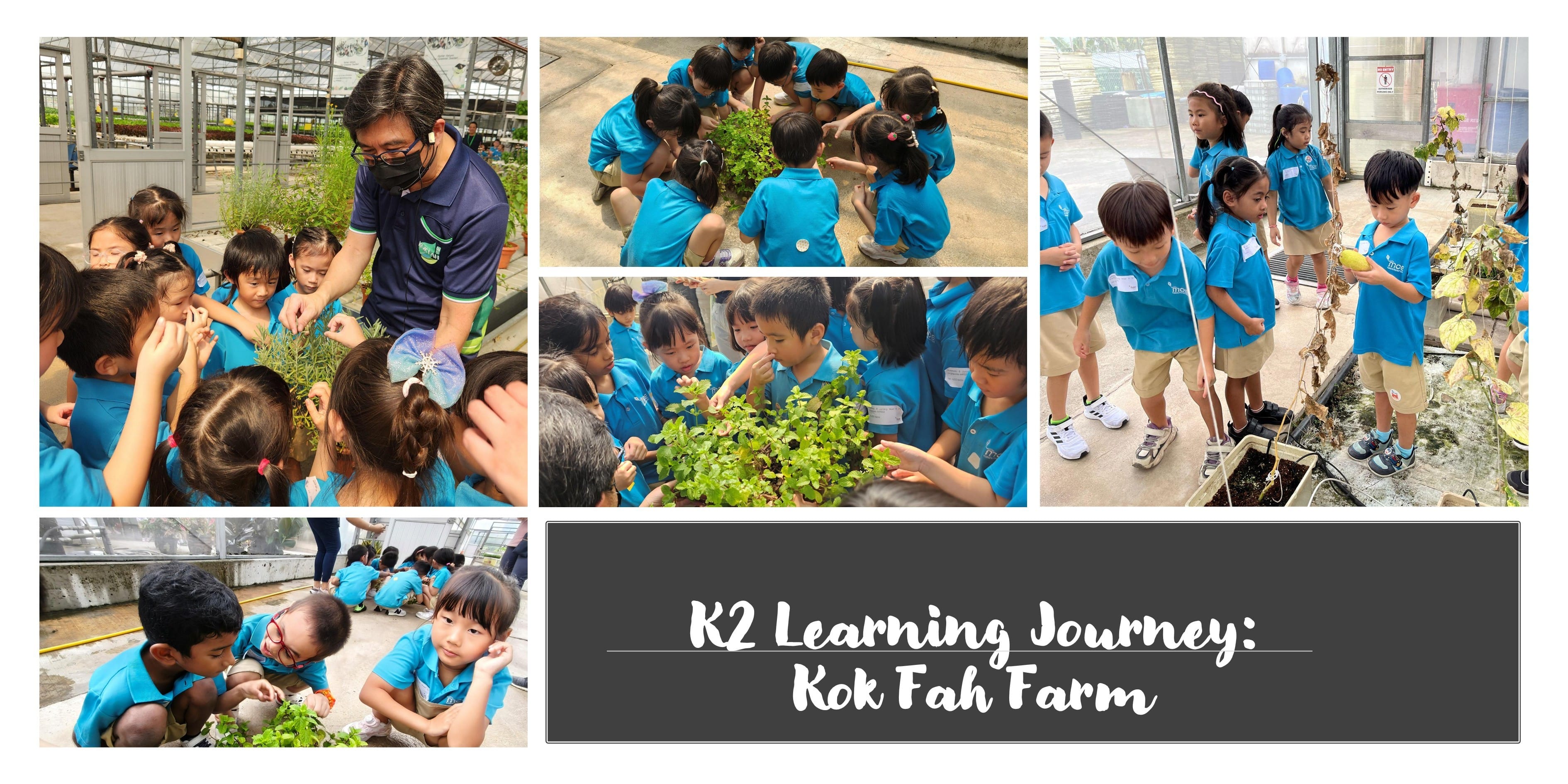 K2 Learning Journey 2025