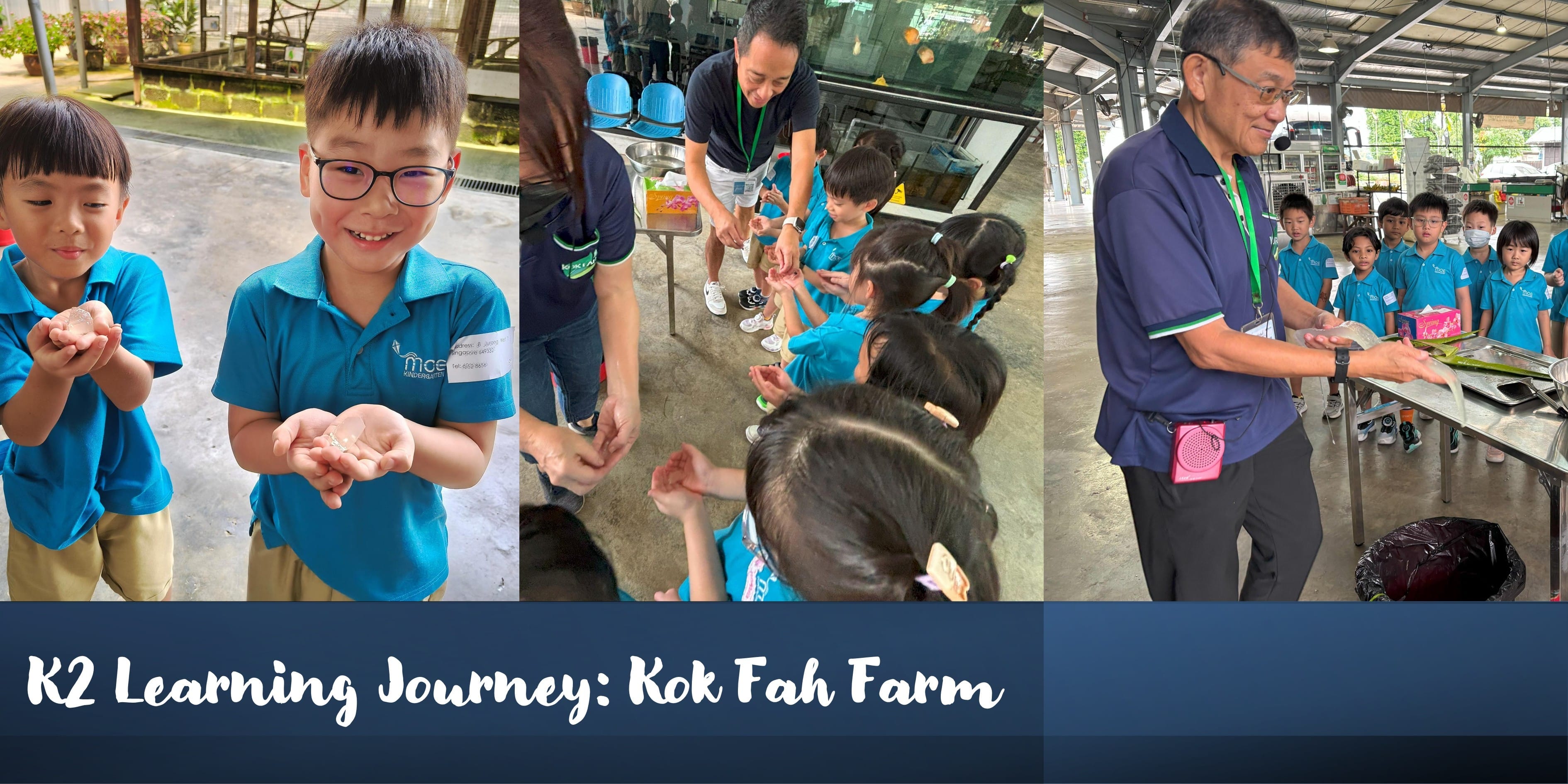 K2 Learning Journey 2025
