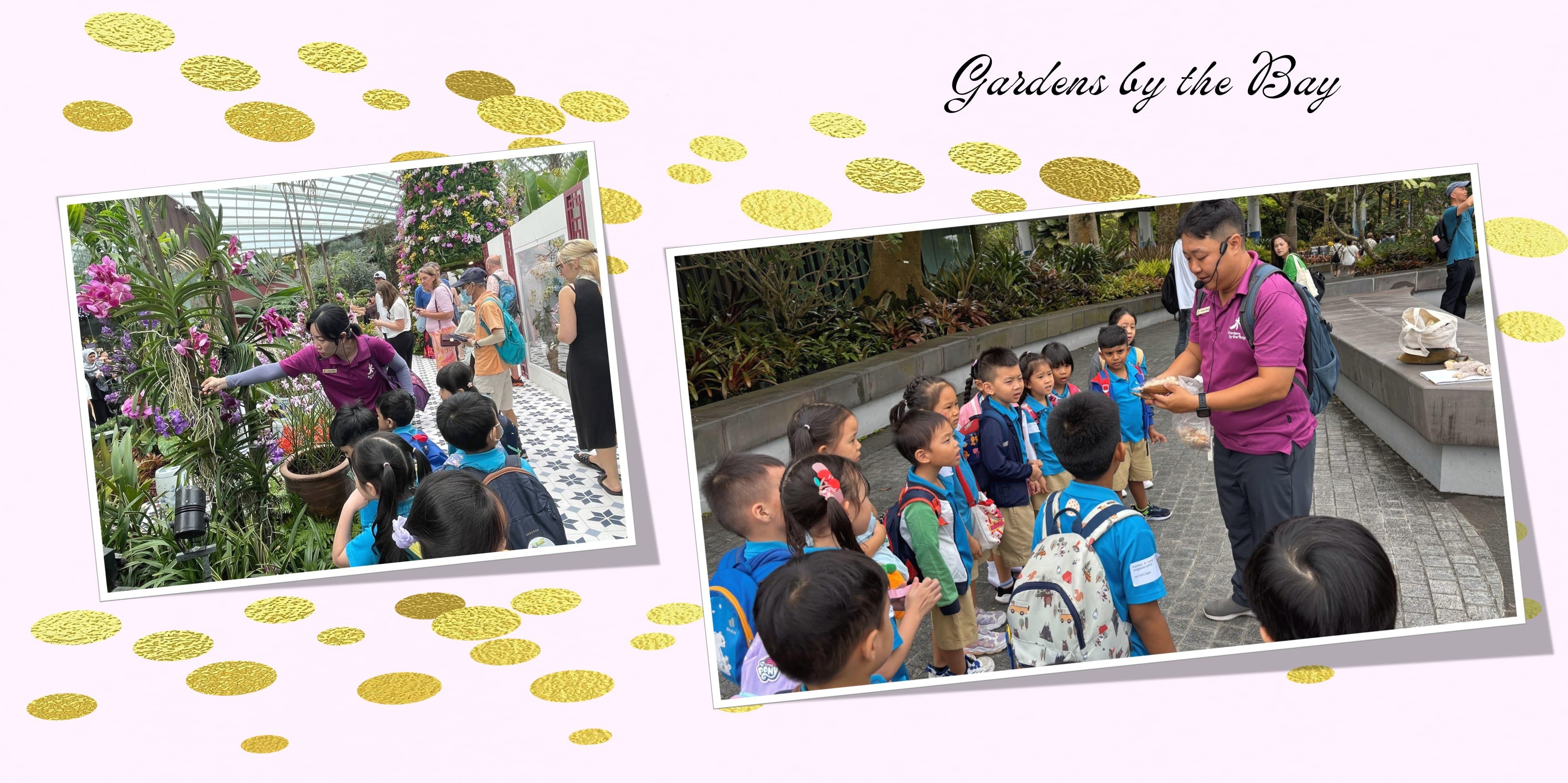 K1 Learning Journey 2025