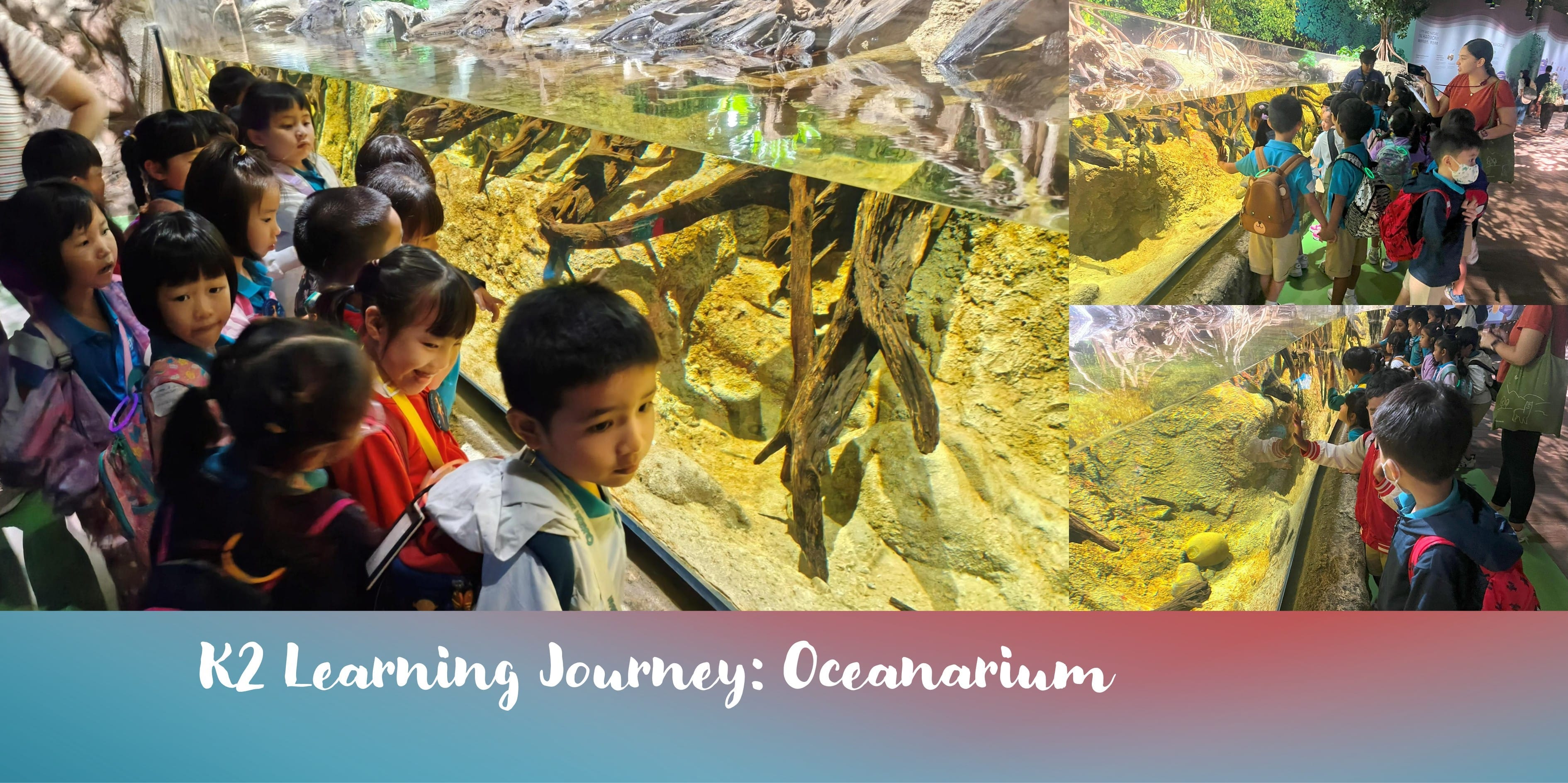 K2 Learning Journey 2025
