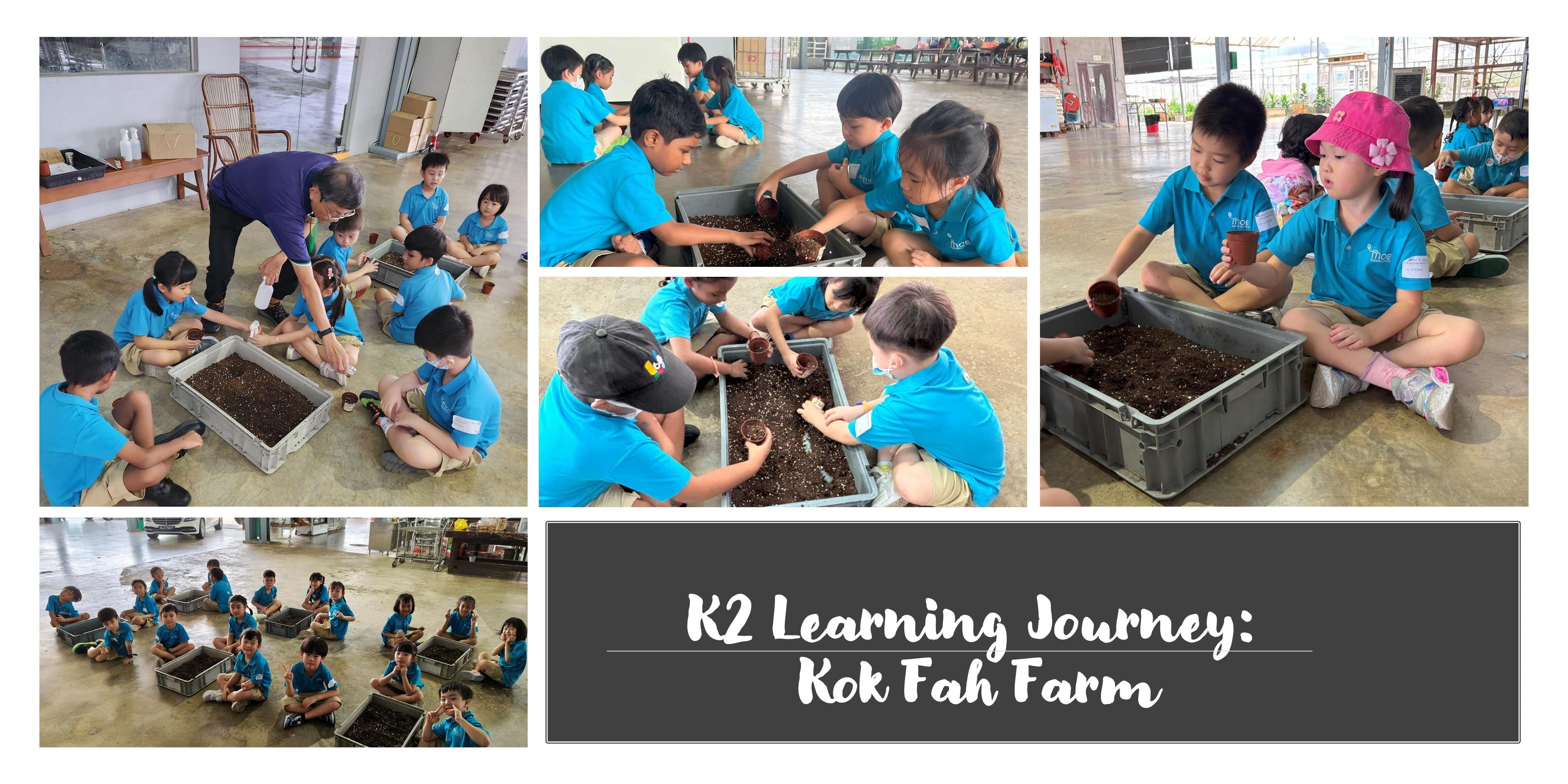 K2 Learning Journey 2025