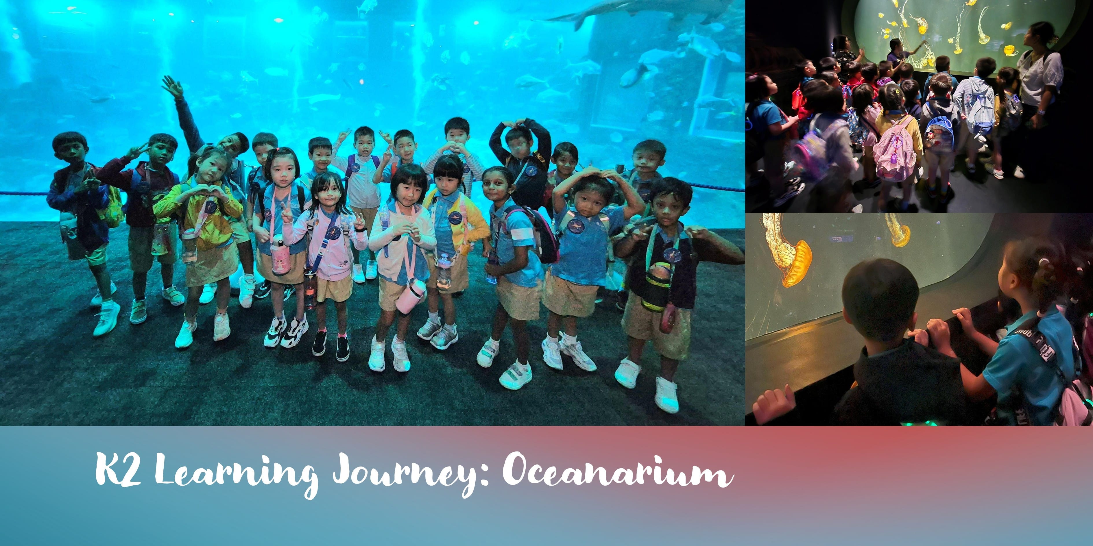 K2 Learning Journey 2025