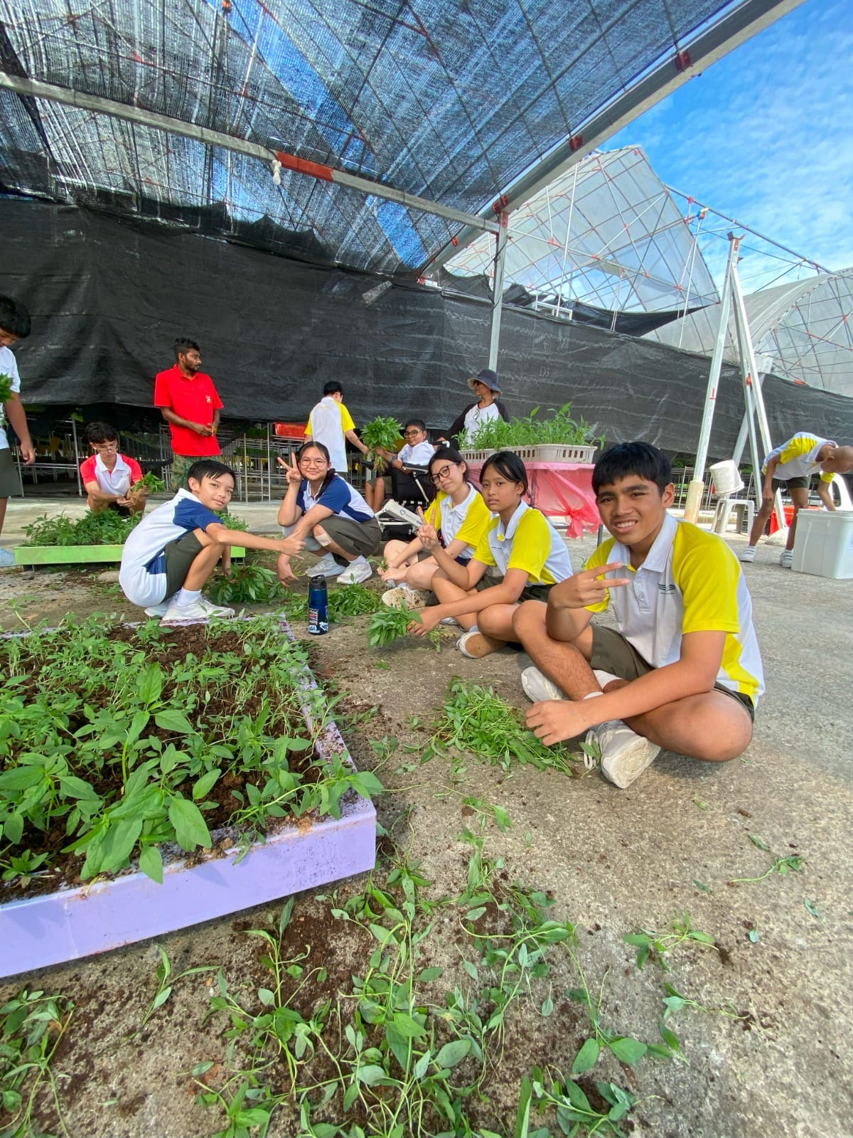 Students in yellow and white uniforms pose with peace signs beside raised garden beds under a shade structure.