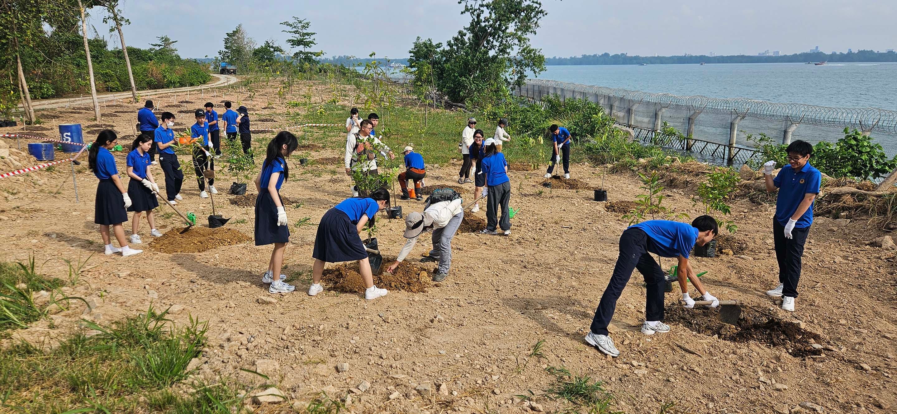 NV students planting trees in Pulau Ubin