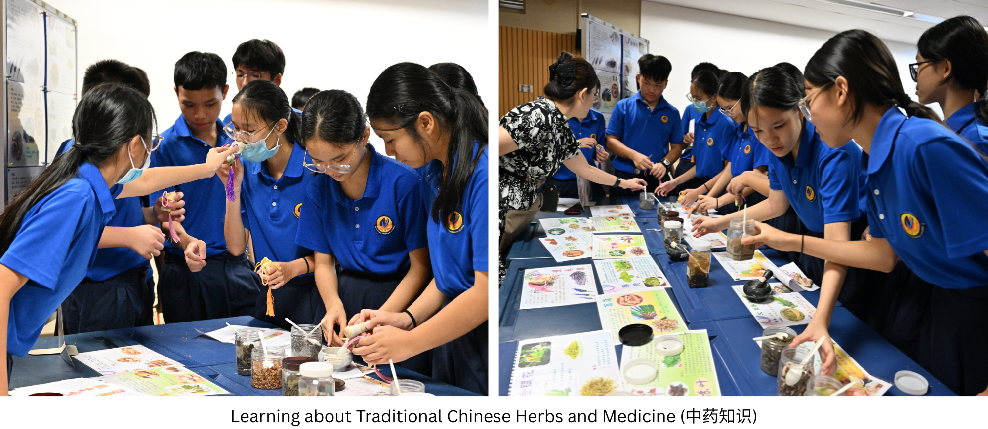NV students participating and learning about traditional chinese herbs and medicine