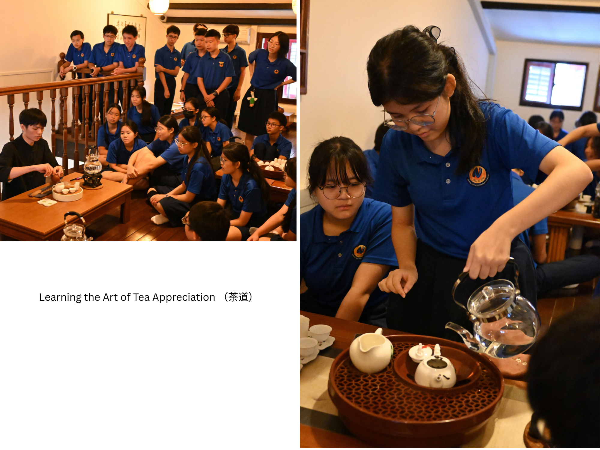 NV students learning the art of tea appreciation