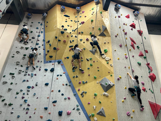 Four climbers scaling tall indoor climbing walls with colorful holds and rope belay systems.