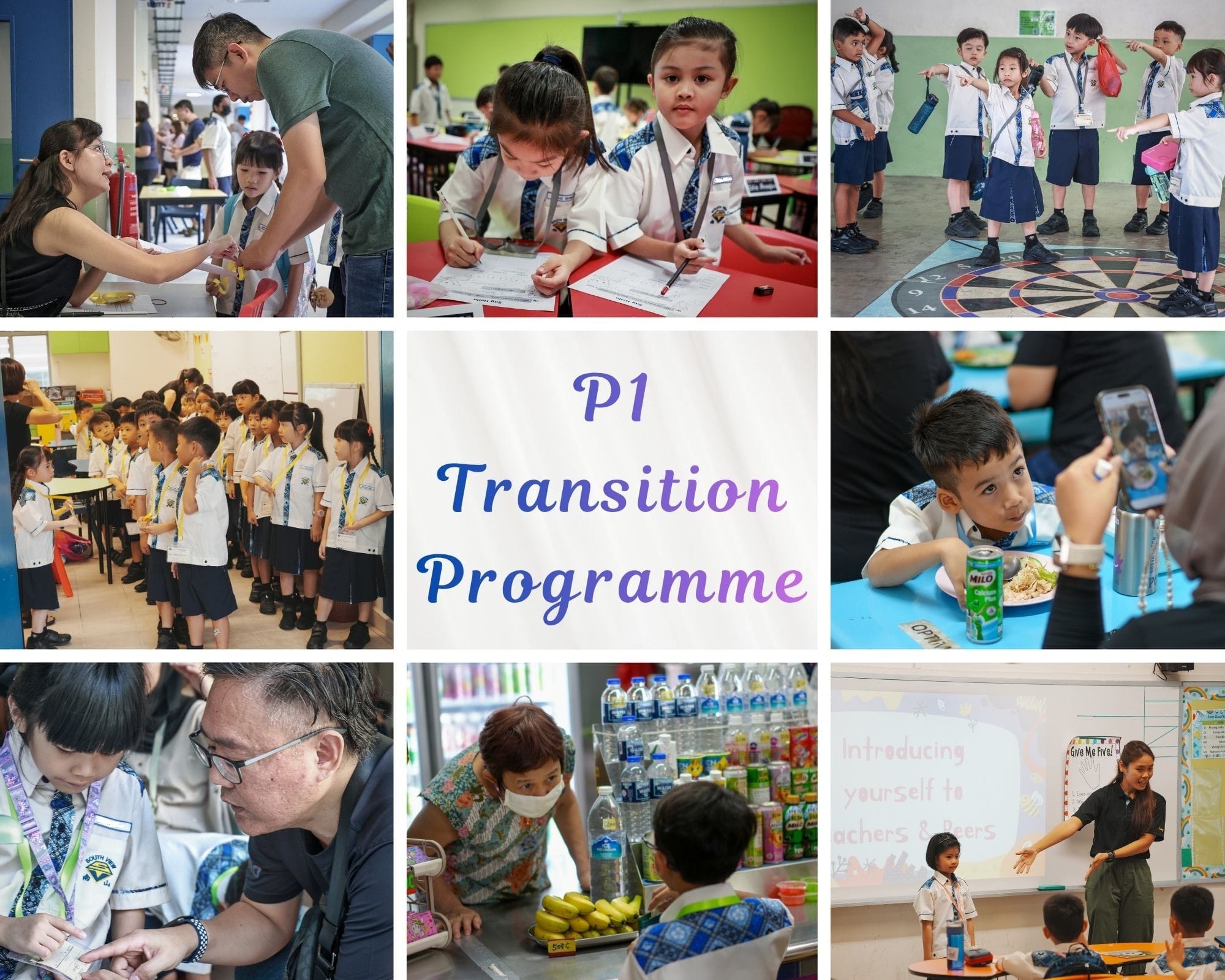 P1 Transition Prog