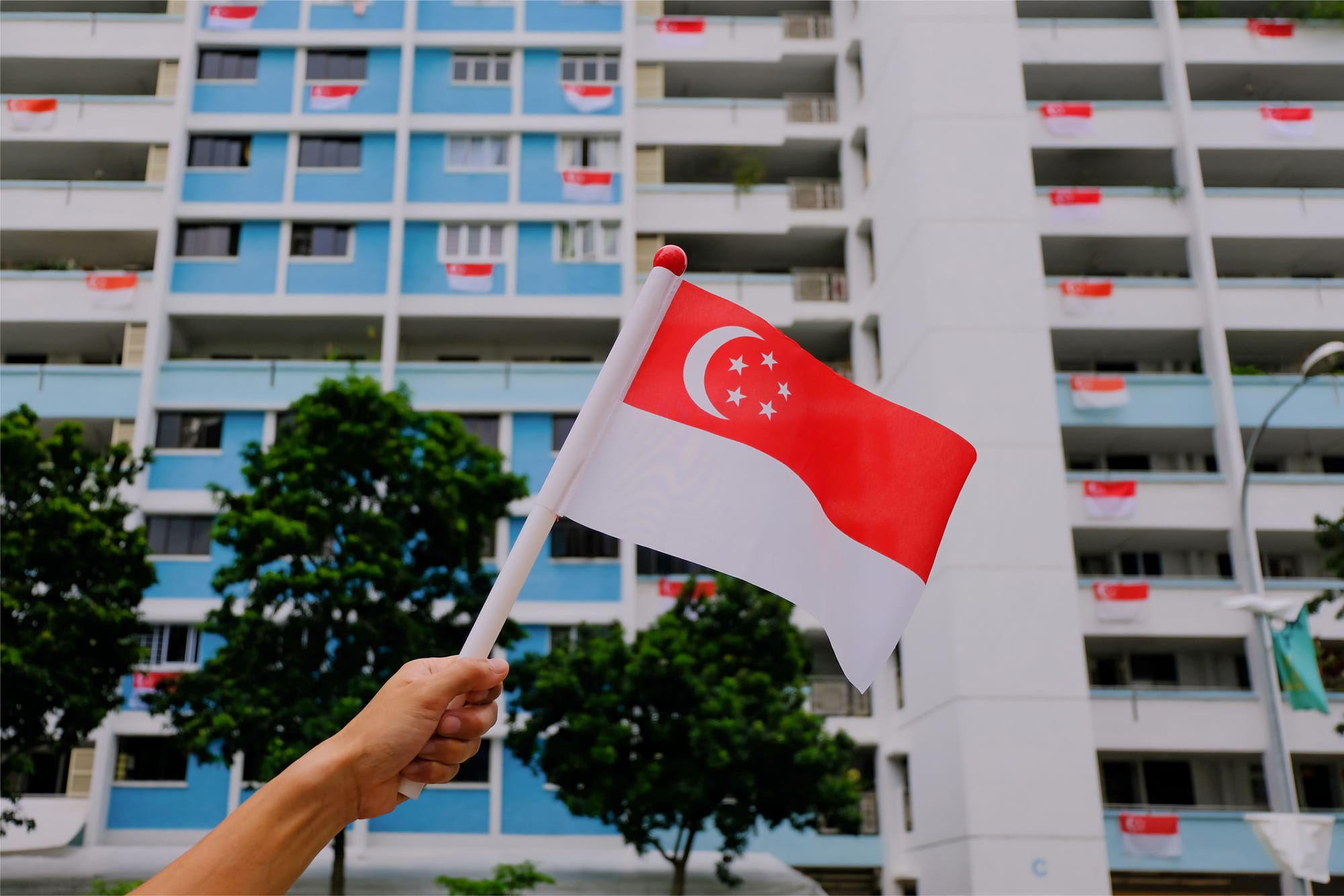 Hand waving Singapore flag outside on sunny day, HDB flats in background, with trees foliage.