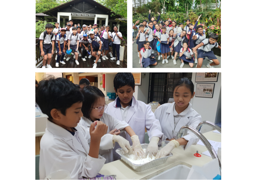 Students in school uniforms pose outdoors in two group photos, and four children in lab coats work on a science activity.