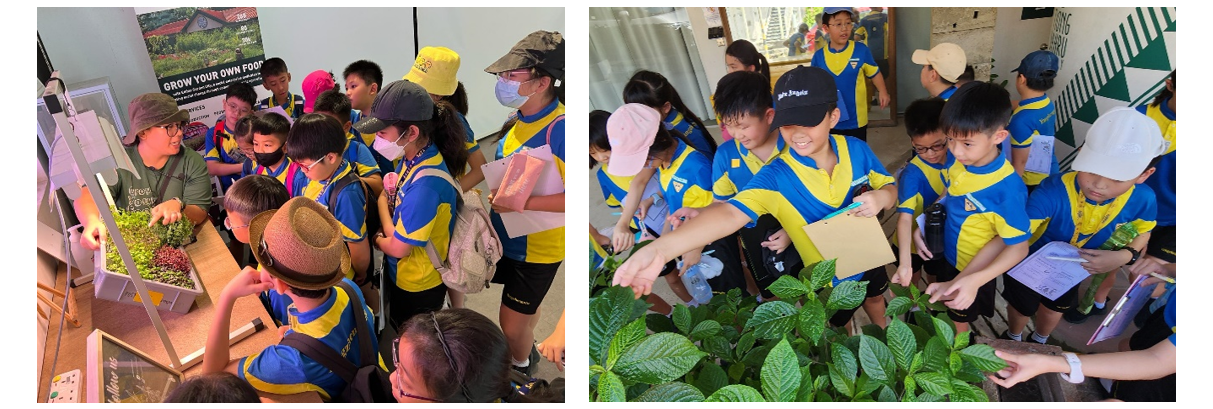 Children in blue and yellow uniforms examine a plant display indoors and touch green plants outdoors during a field trip.