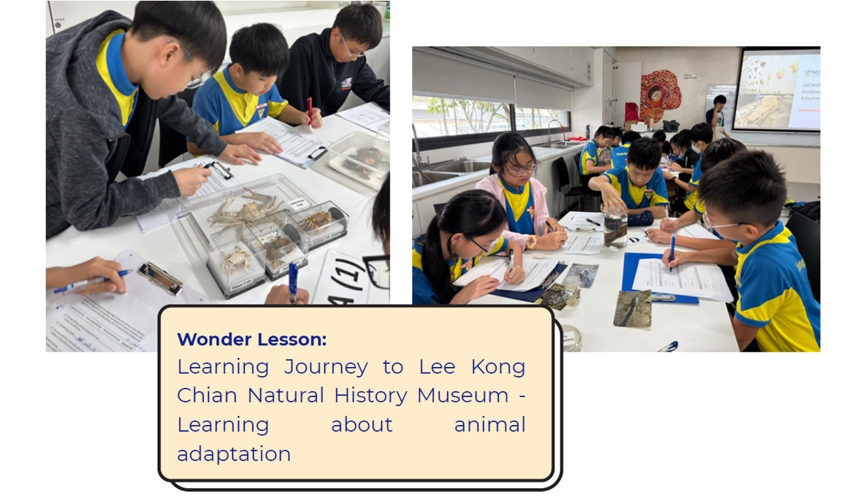 Students in blue uniforms examine animal specimens and write notes during a museum lesson on animal adaptation.