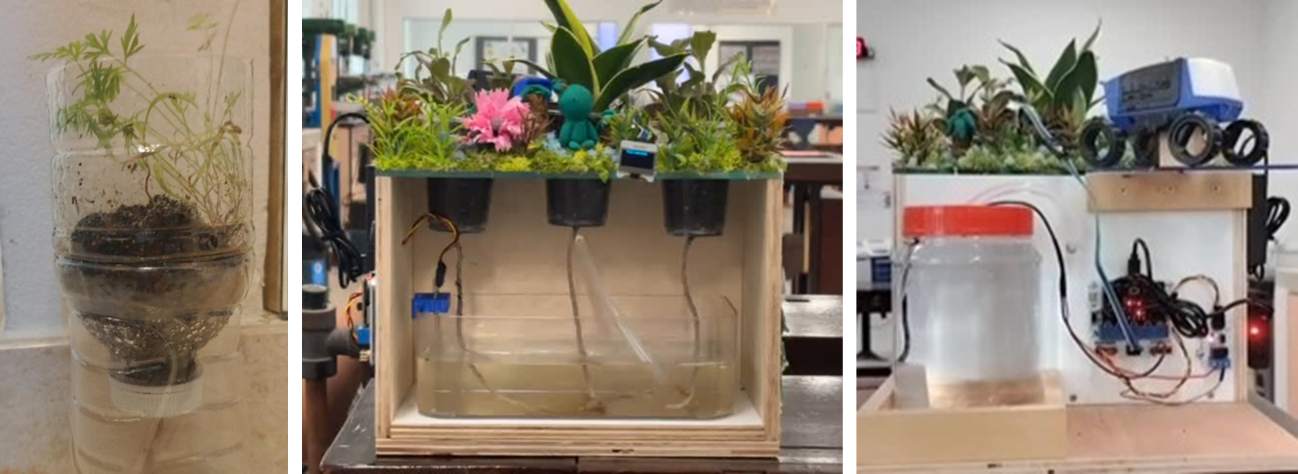 Images of a self-sustaining watering system