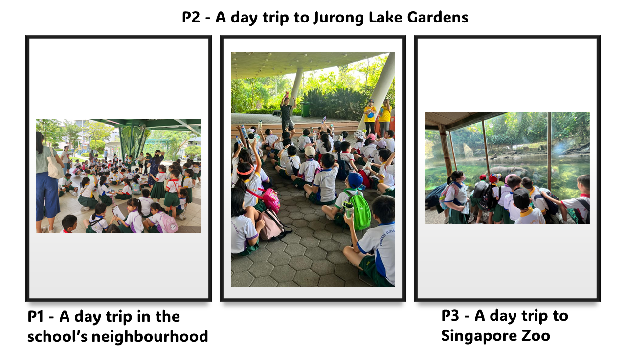 Three photos of school children on day trips to a neighbourhood, Jurong Lake Gardens, and Singapore Zoo.
