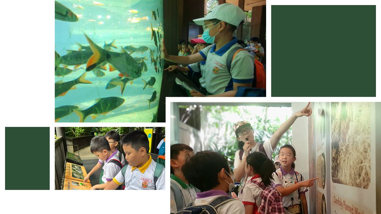 Young students on a field trip explore an aquarium, read displays, and point at educational exhibit boards.