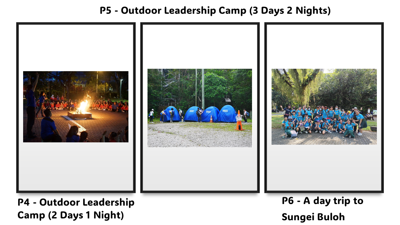 Three school camp photos: campfire at night, blue tents outdoors, and a group of students posing under trees.