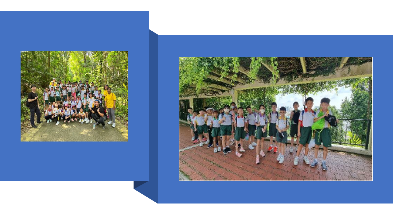 Two group photos of school children in uniforms outdoors among green trees, posing with teachers.