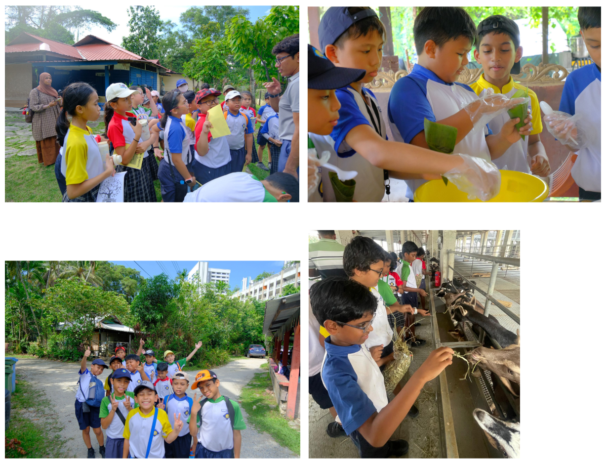 Four photos of school children on a field trip: listening outdoors, handling plants, posing on a path, and feeding goats.