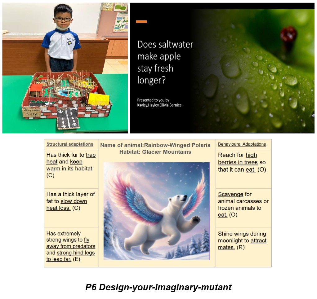 Collage of student projects: a boy with a diorama, a saltwater apple experiment slide, and a winged polar bear adaptation chart.