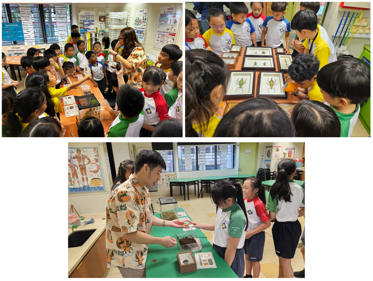 Students gather around framed insect specimens and terrariums as an instructor demonstrates in a classroom setting.