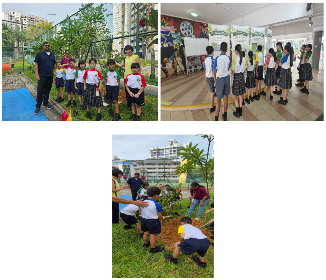 Three photos show uniformed school children outdoors planting a tree and viewing indoor display boards with teachers.