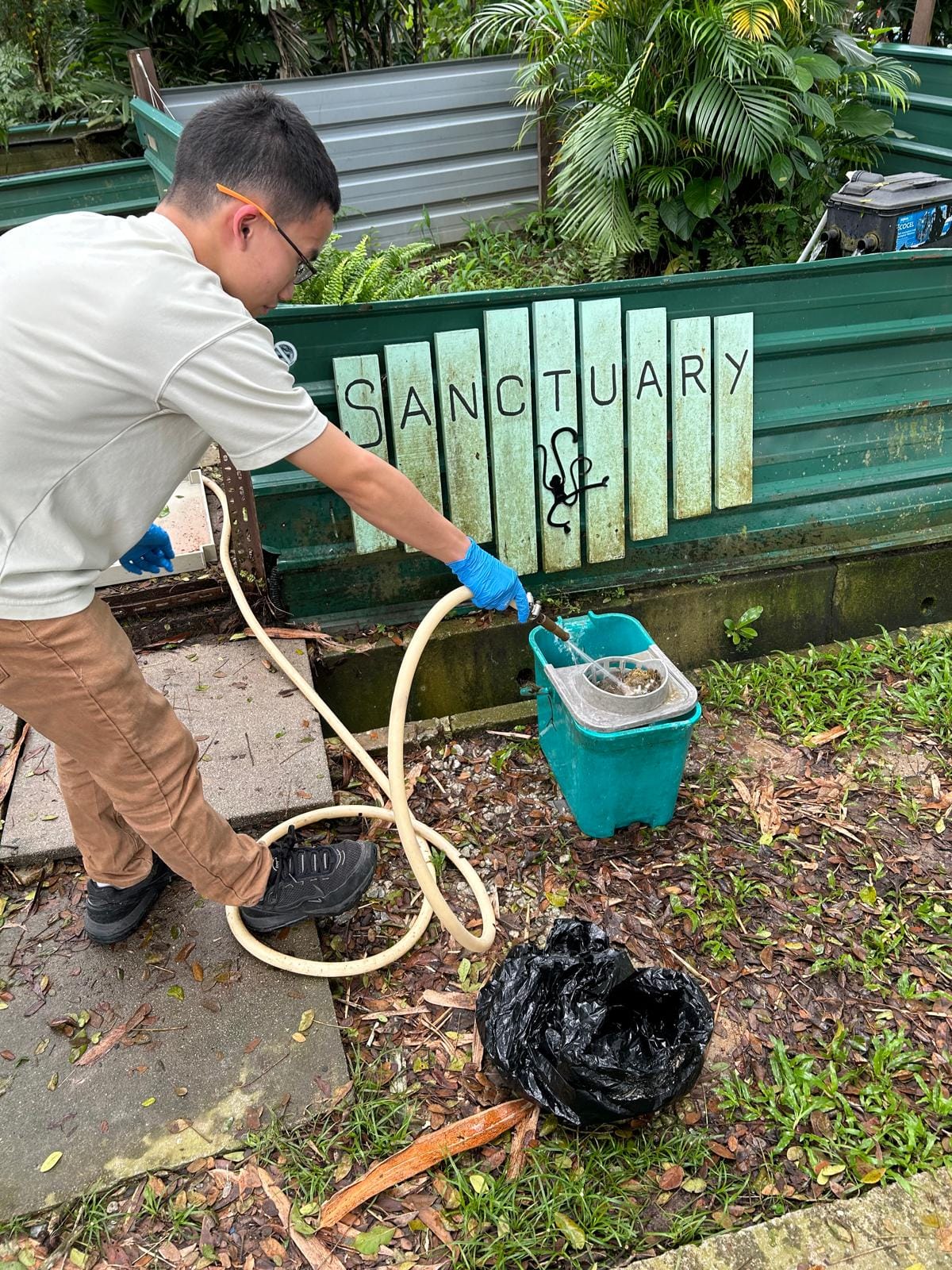 A man wearing blue gloves uses a hose to fill a teal bucket near a green fence reading "Sanctuary."