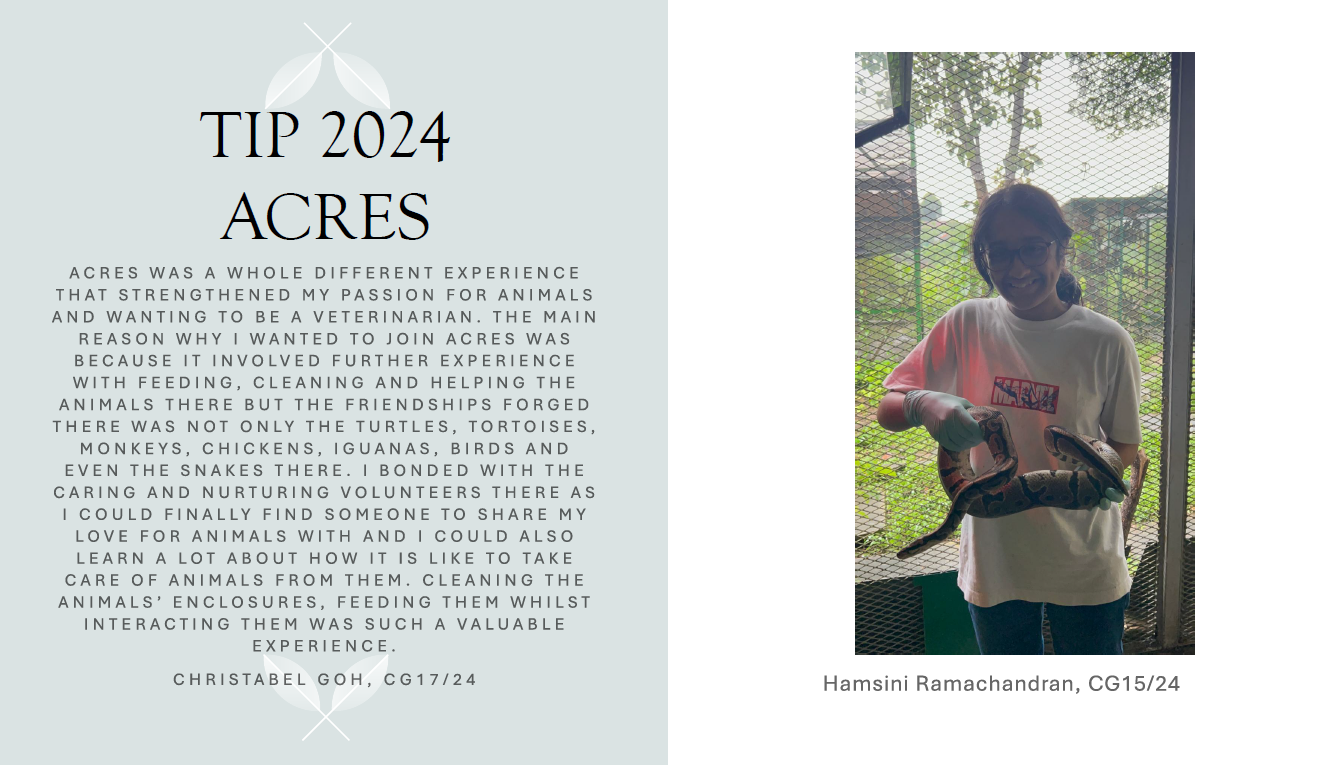 A smiling girl holds a large snake while wearing gloves at an outdoor animal enclosure, beside a TIP 2024 ACRES write-up.