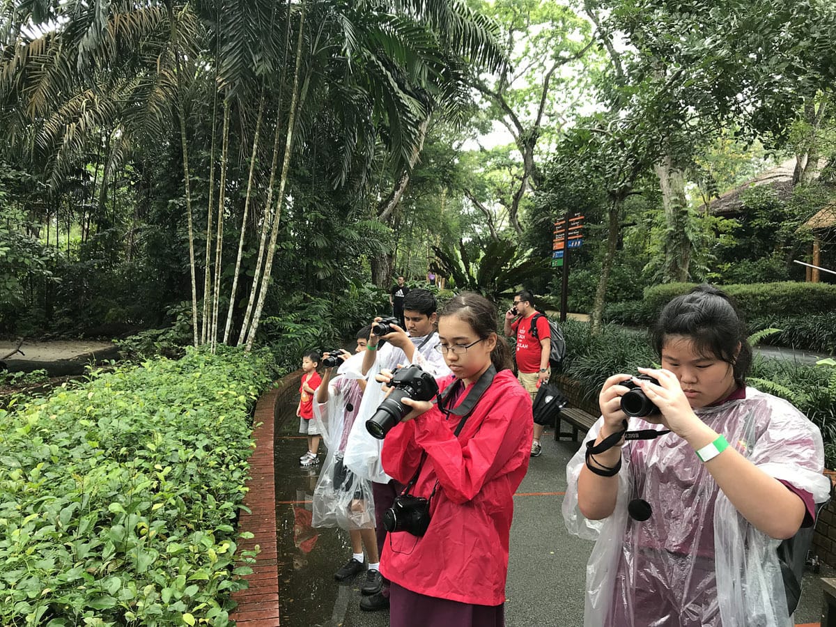 Several children wearing rain ponchos hold cameras on a lush tropical park path lined with palm trees.