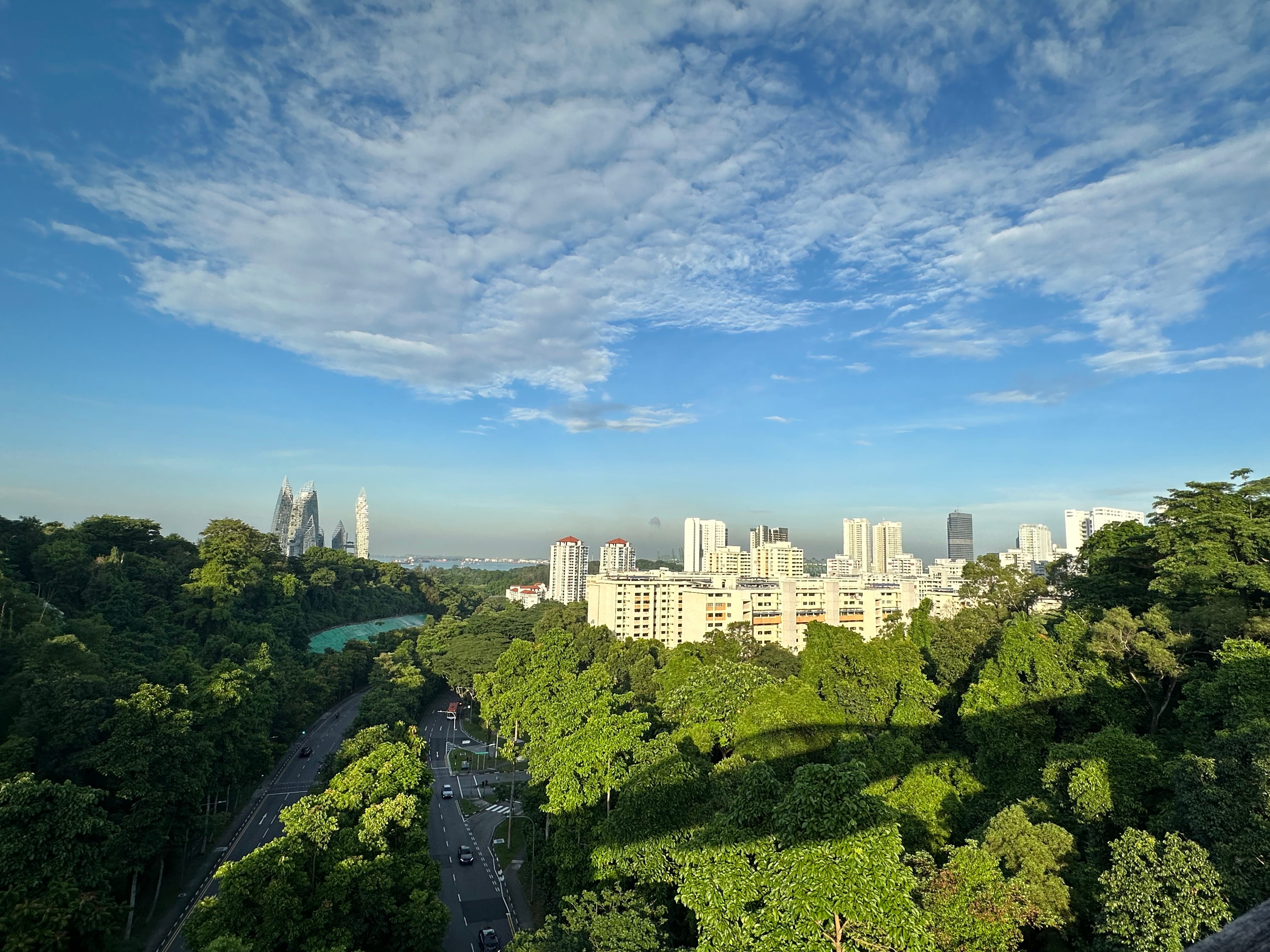 City skyline with tall buildings surrounded by dense green trees, a road below, and a blue sky with scattered clouds.