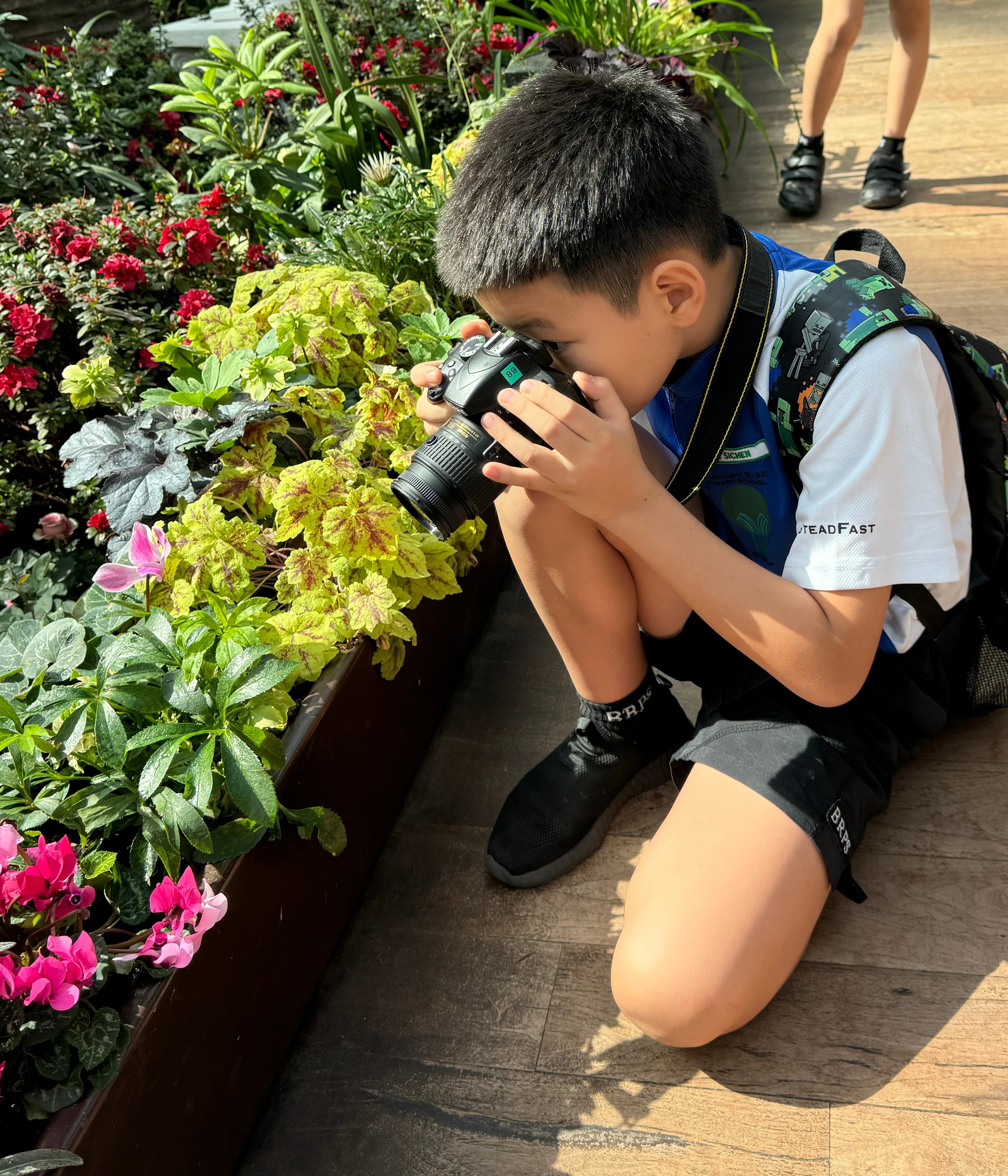 A young boy kneels on a wooden floor, holding a camera up to his eye to photograph a colorful flower bed.