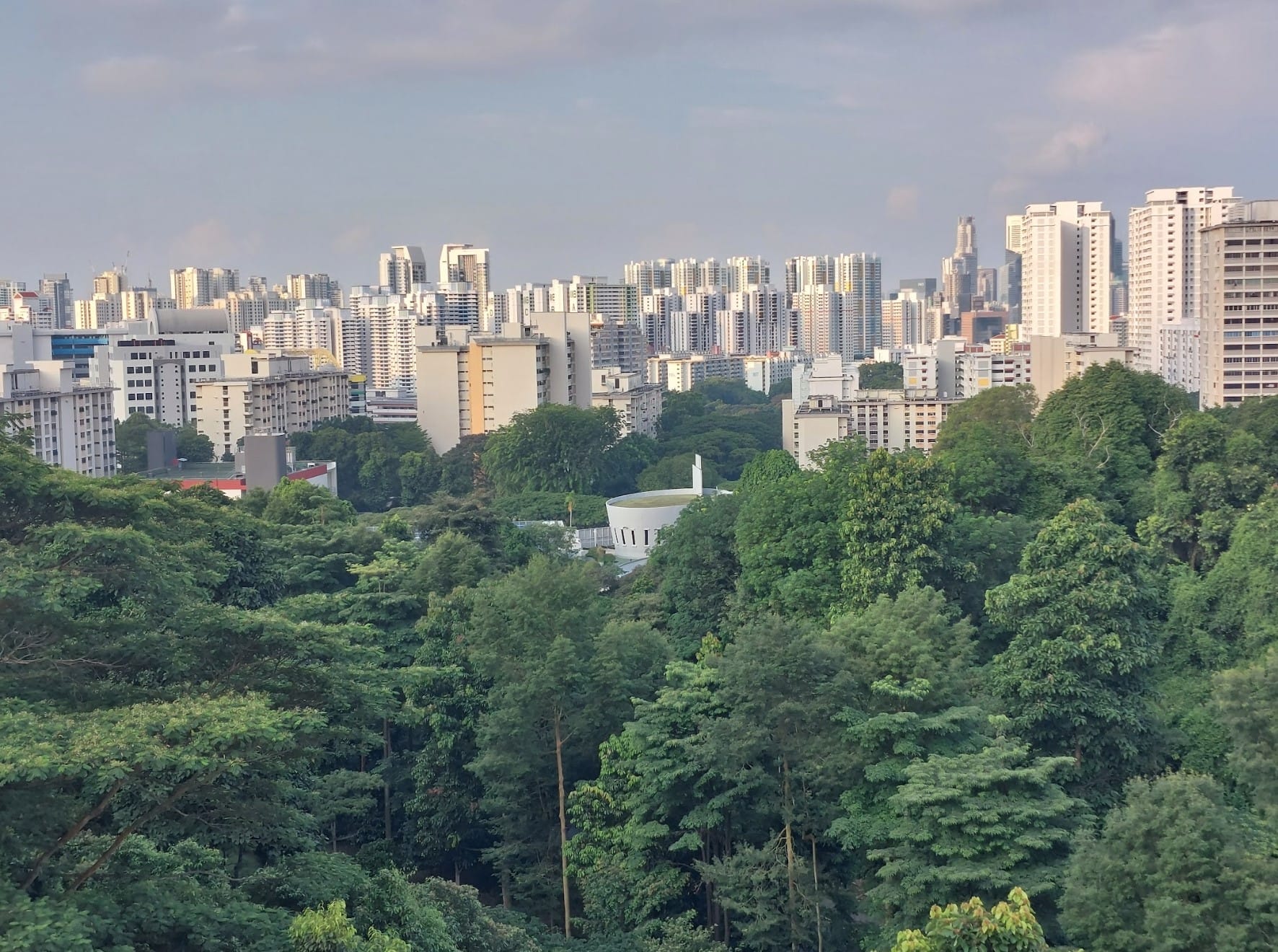 Dense green treetops in the foreground with a sprawling cityscape of tall white residential towers behind.