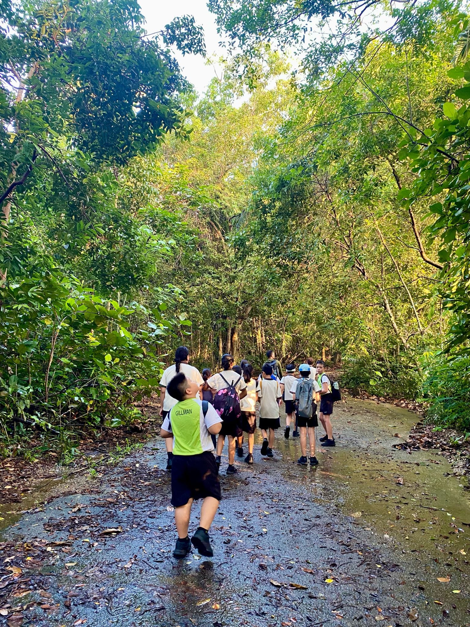 A group of children with backpacks walks along a wet forest trail surrounded by dense green trees.