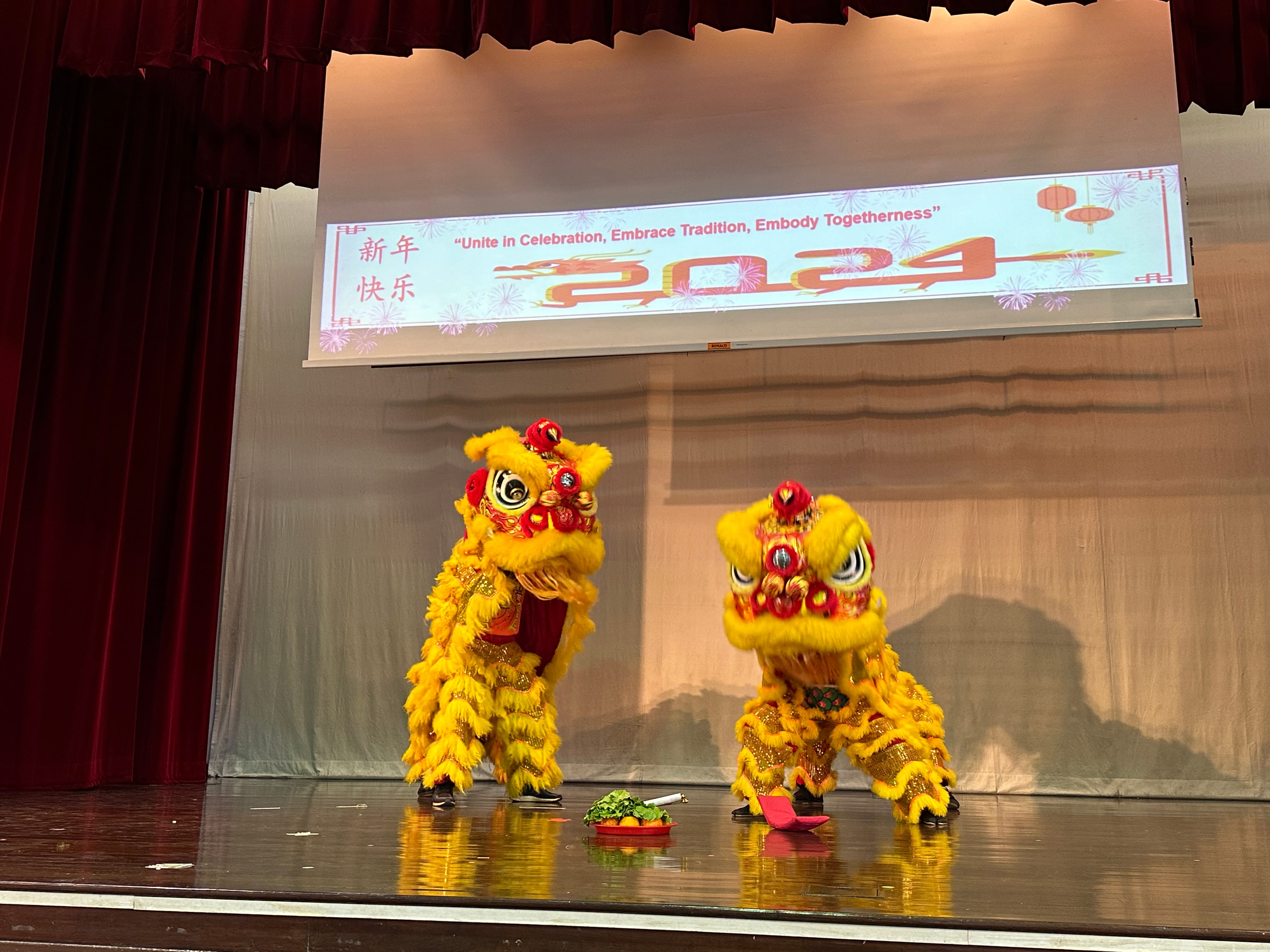 Two yellow and red Chinese lion dance costumes performing on a stage with a 2024 Lunar New Year banner.