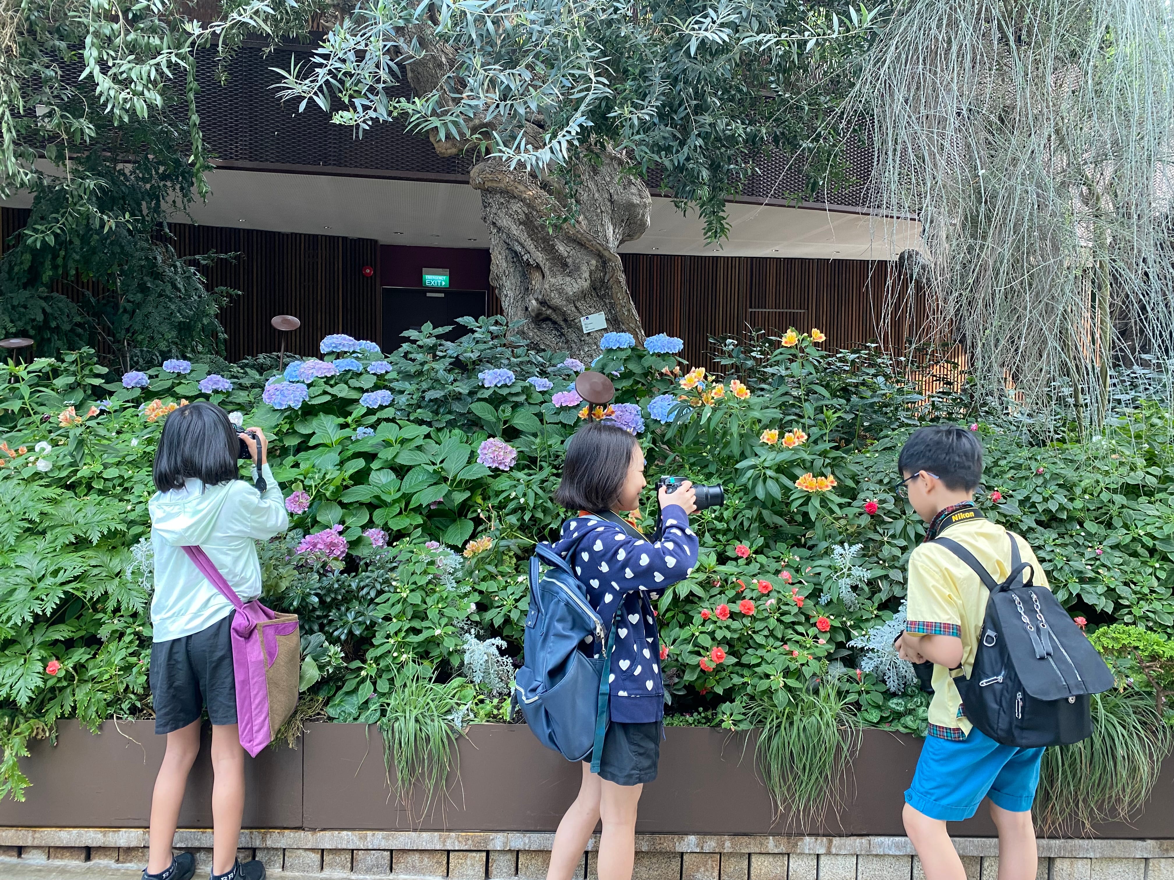 Three kids with backpacks take photos of colorful flowers in a lush garden under a large tree.