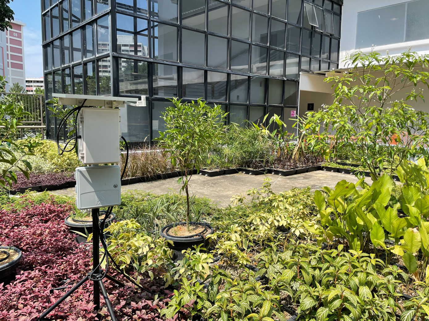 A sensor device on a tripod stands among lush rooftop garden plants beside a glass-paneled building.