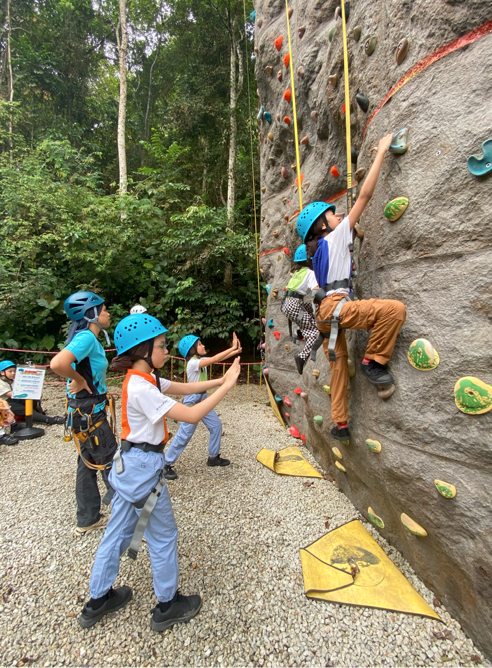 Children in blue helmets and harnesses climb and spot each other on an outdoor rock climbing wall surrounded by trees.