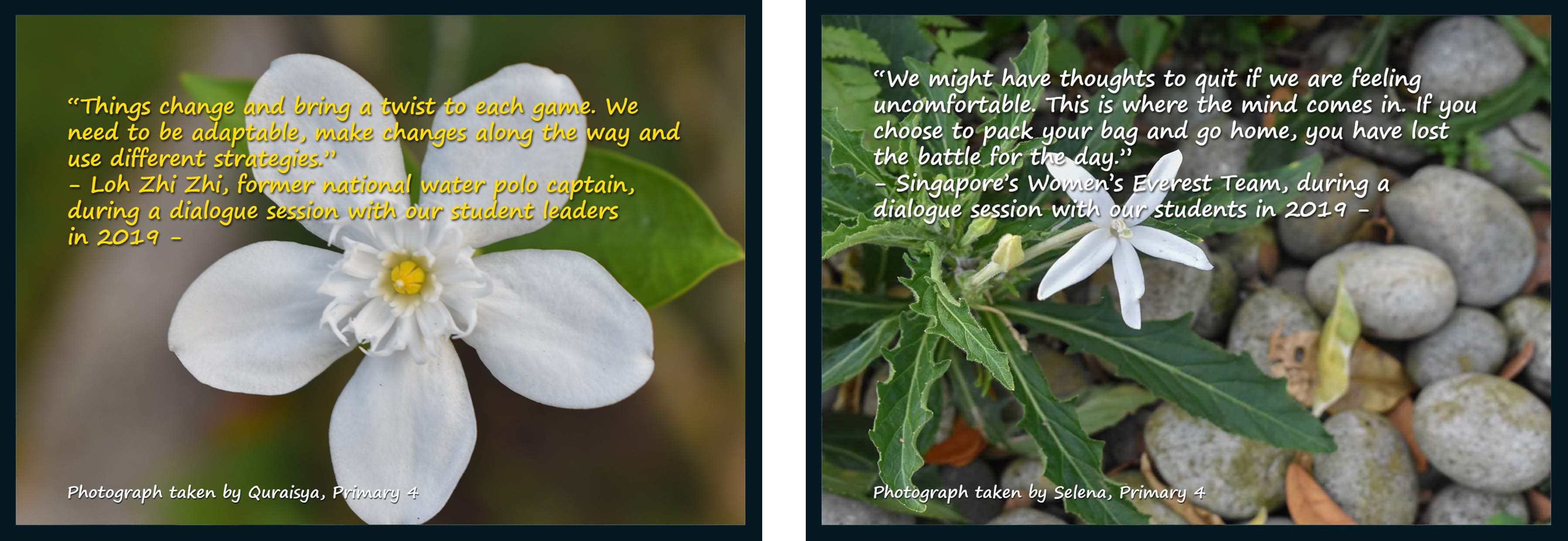 Two student photos of white flowers with inspirational quotes overlaid, taken by Primary 4 students Quraisya and Selena.